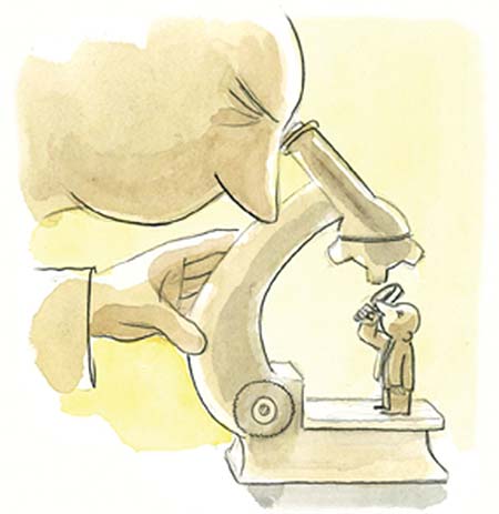 Designación magistrados TEPJF. Comparecencia primera terna: un poco de todo