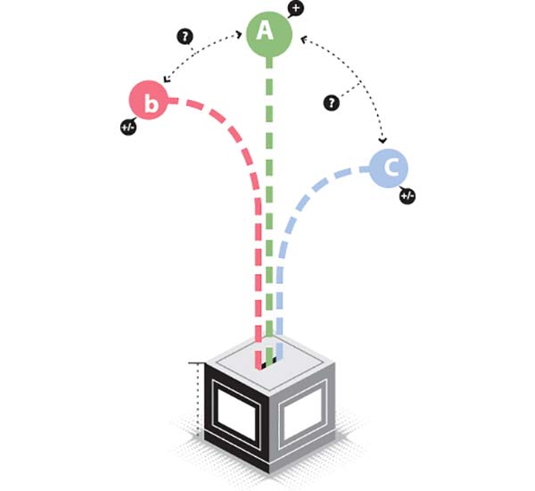 Amicus curiae. Los desafíos jurídicos de un candidato independiente