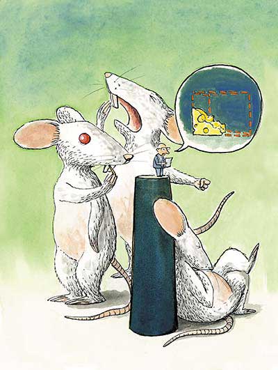 Caso Duarte: ciudadanía vs. opacidad y corrupción