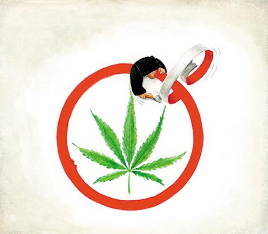 Uso personal adulto de cannabis: ¿jurisprudencia o declaratoria general de inconstitucionalidad?