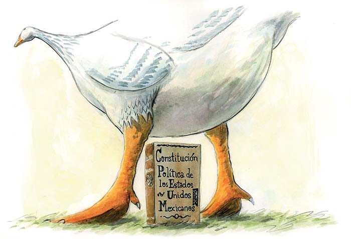 El presidente López Obrador contra la Constitución