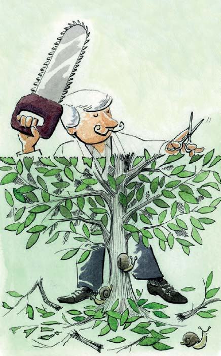 El rol de los órganos reguladores en la infraestructura de los derechos