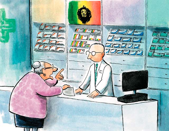 ¿Cómo va la legalización del cannabis?