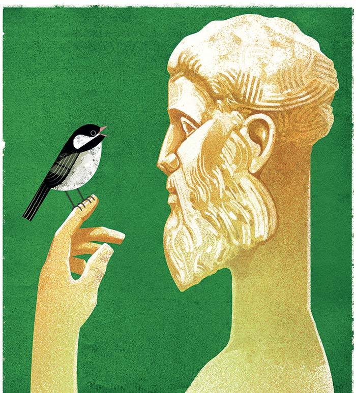 Algunos vicios de la argumentación política y jurídica