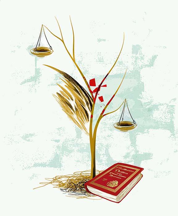 La reforma judicial: fruto de su contexto político