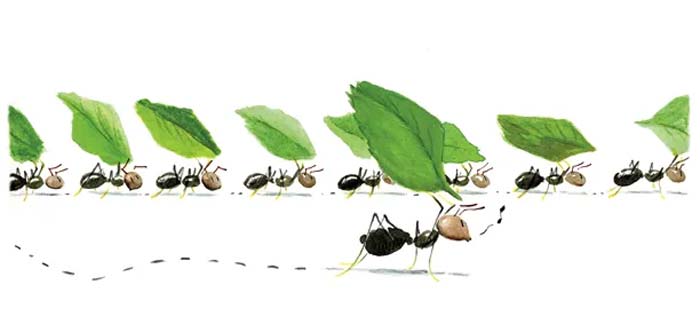 La reforma en subcontratación: es fiscal, no laboral