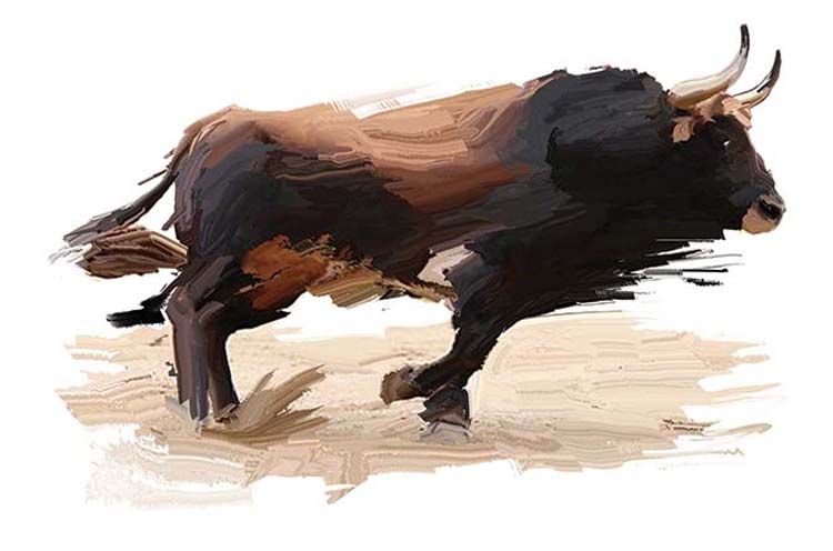 Constitución y toros