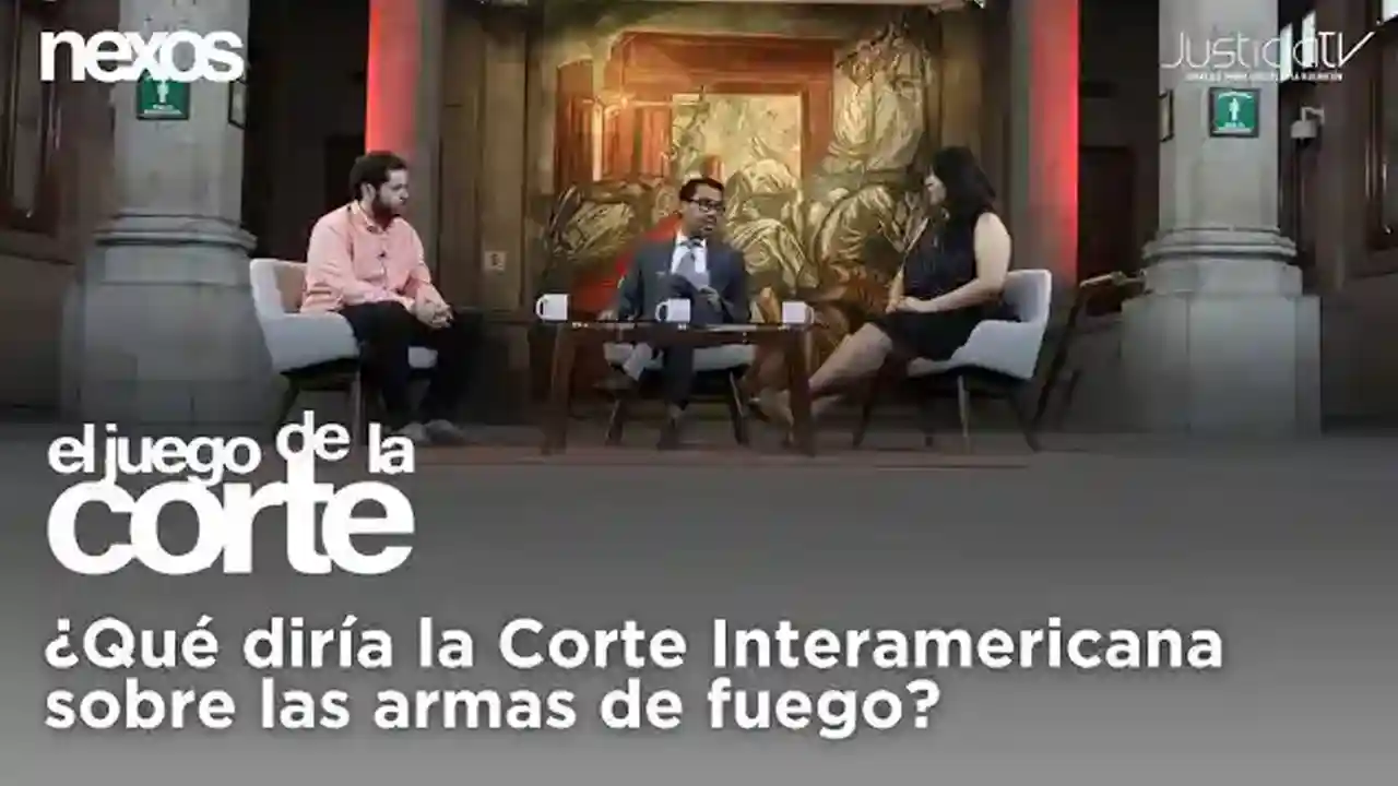 ¿Qué diría la Corte Interamericana sobre las armas de fuego?