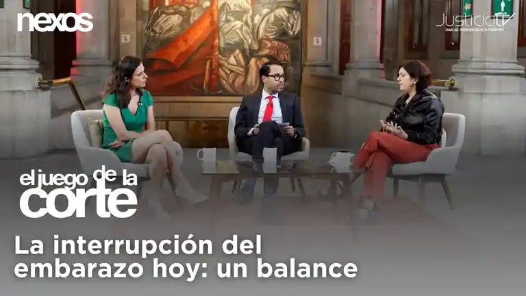 La interrupción del embarazo hoy: un balance