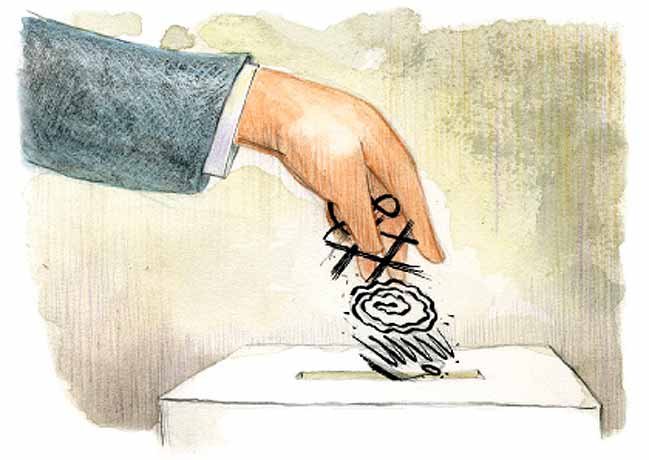 Amicus curiae sobre la elección judicial en México